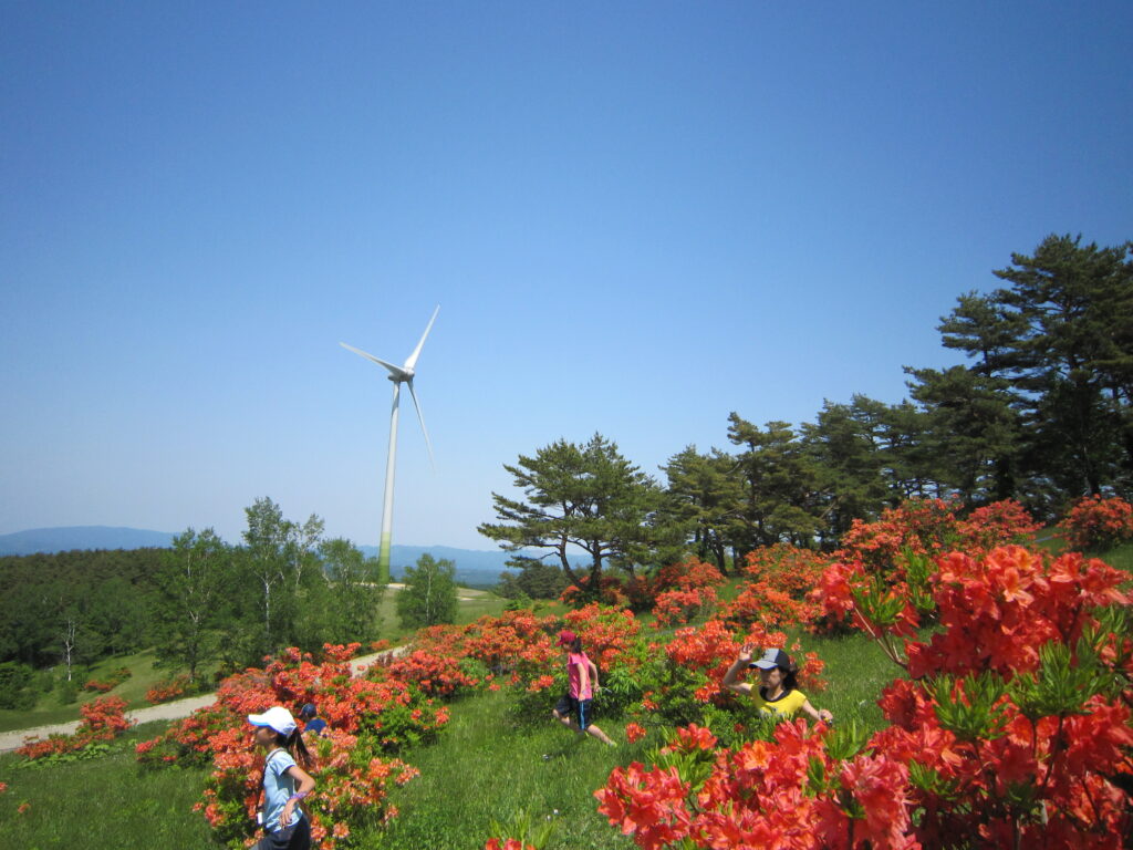 高森高原まつり