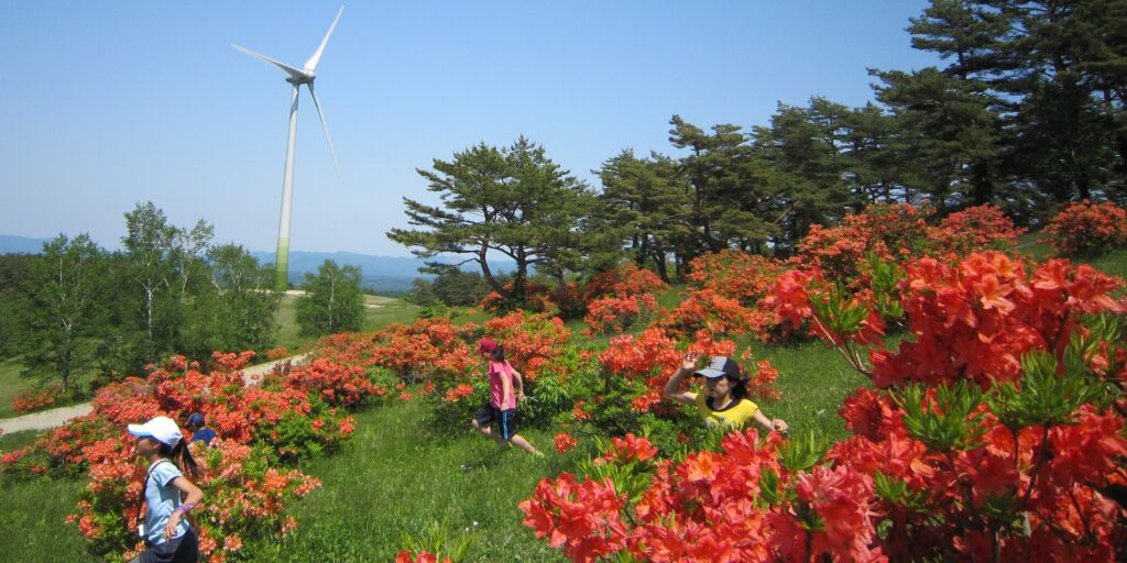 高森高原まつり